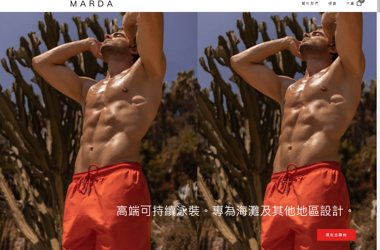 男泳褲
